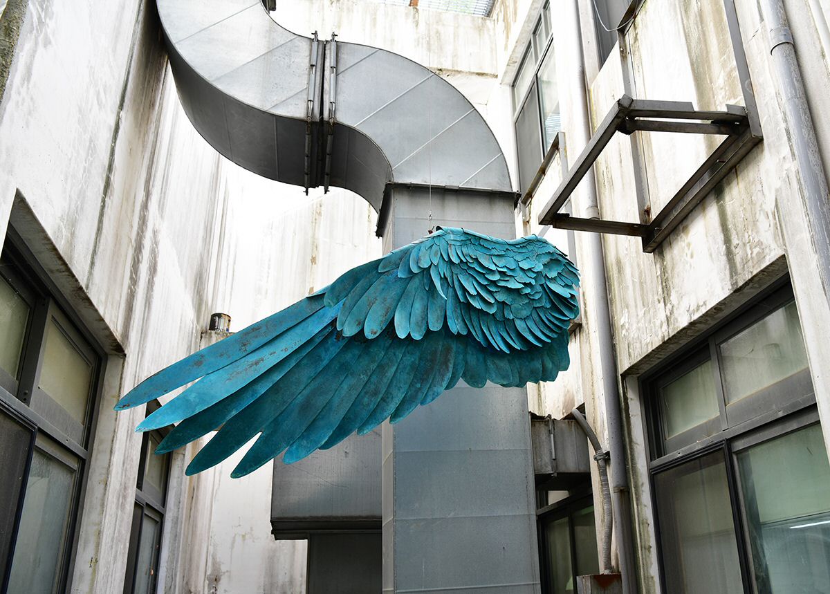 icarus-1.jpg
